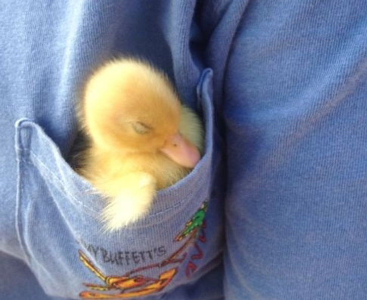 7d868450e0a893f32bfcaf8a24