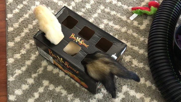 7d894252f087bd97ef2abf850f