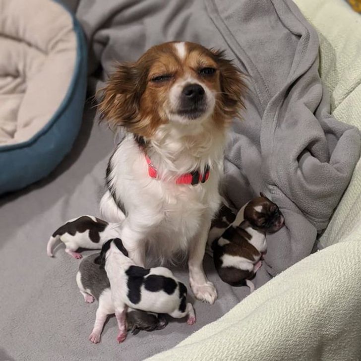 7d8d855189b4881acf2ec97fd2