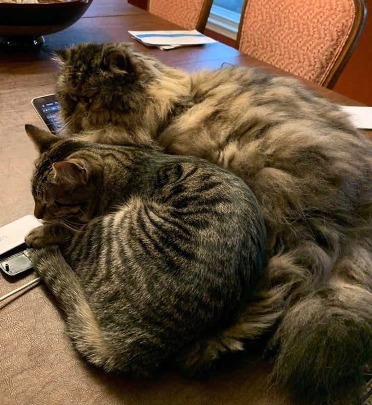 7d912b50ec96ec3fff3600f45c