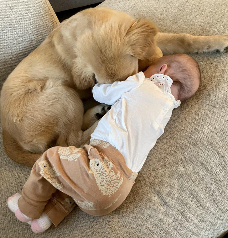 7d92da51c2bf309a01cb2fe051