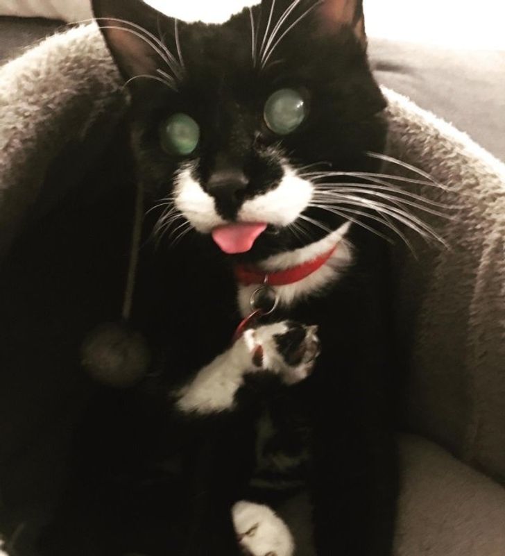 7d95da5aedbc4209ccb13c7bb7