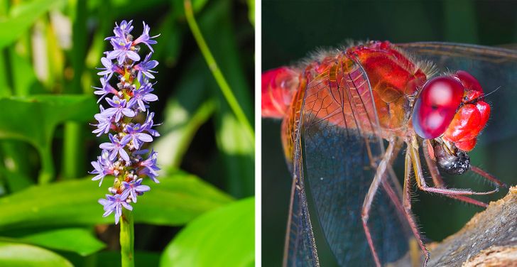 7d9908544ebb7b68b240a0b4e5