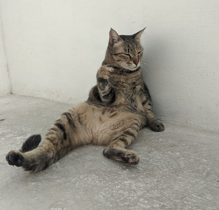 7d9a9f59359e88f751ae152cb8 7d9a9f59359e88f751ae152cb8