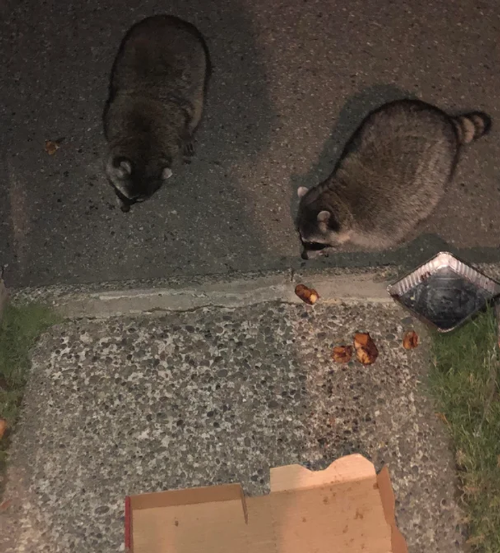 7d9bc65b018a8c15e4203e8e0f