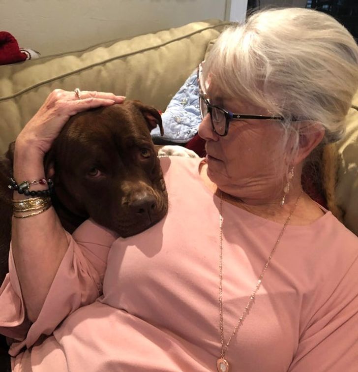 7da5955adeb243875bb702d79b