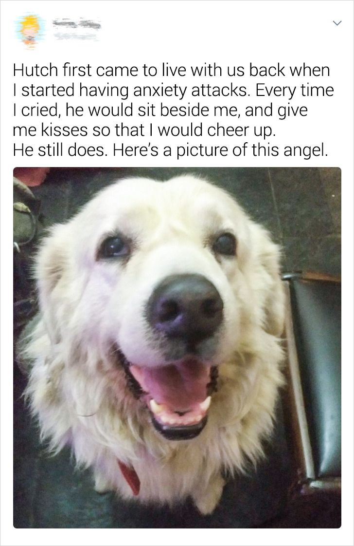 7da7d55e099dc7dacde7497e64