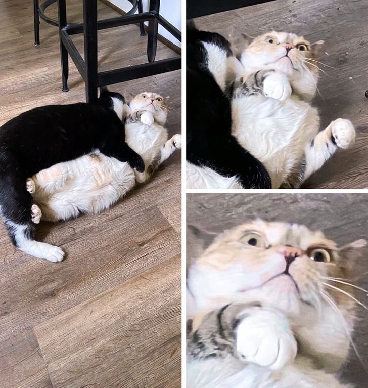 7db27152f184e386751124f550