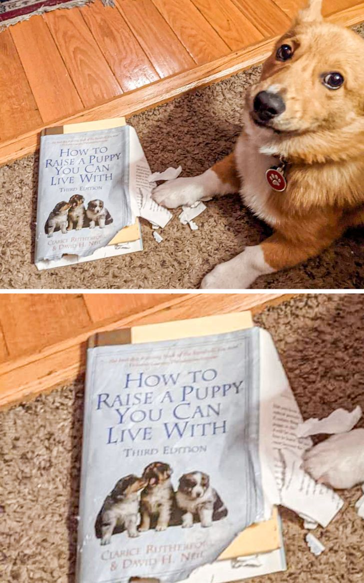 7db3ca512d9aed7a6a02f477c8