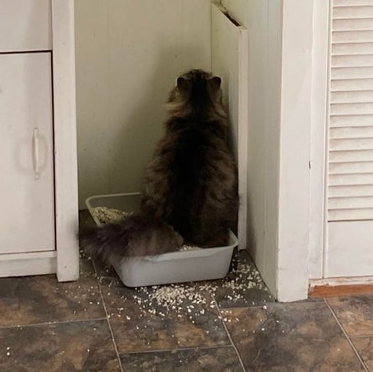 7db51e5258a1fe1adea27e4b4b 7db51e5258a1fe1adea27e4b4b