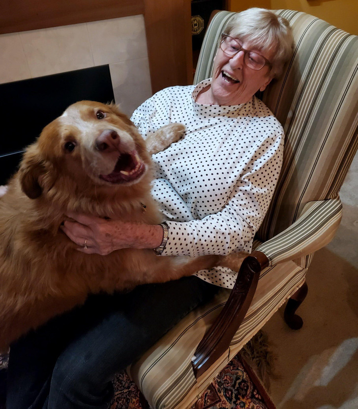 7db54d5819ae2309505caa2584