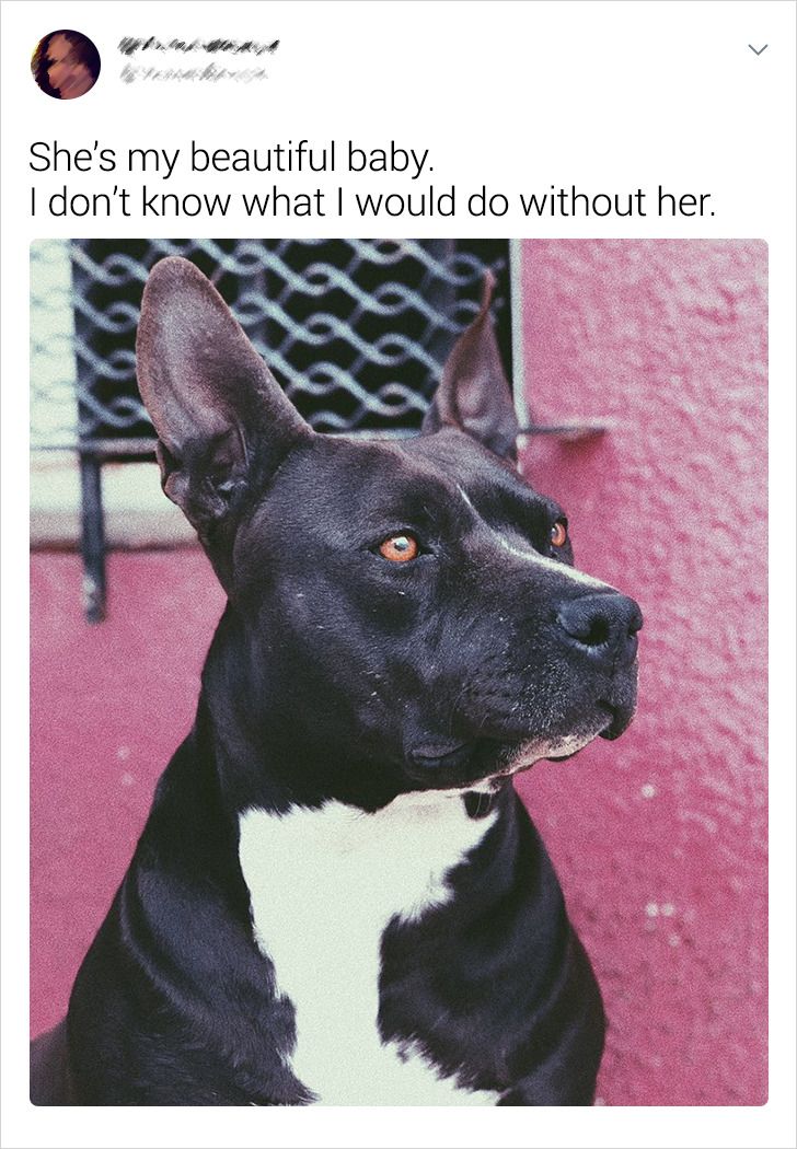 7db77b56be993d99851fa98f0b