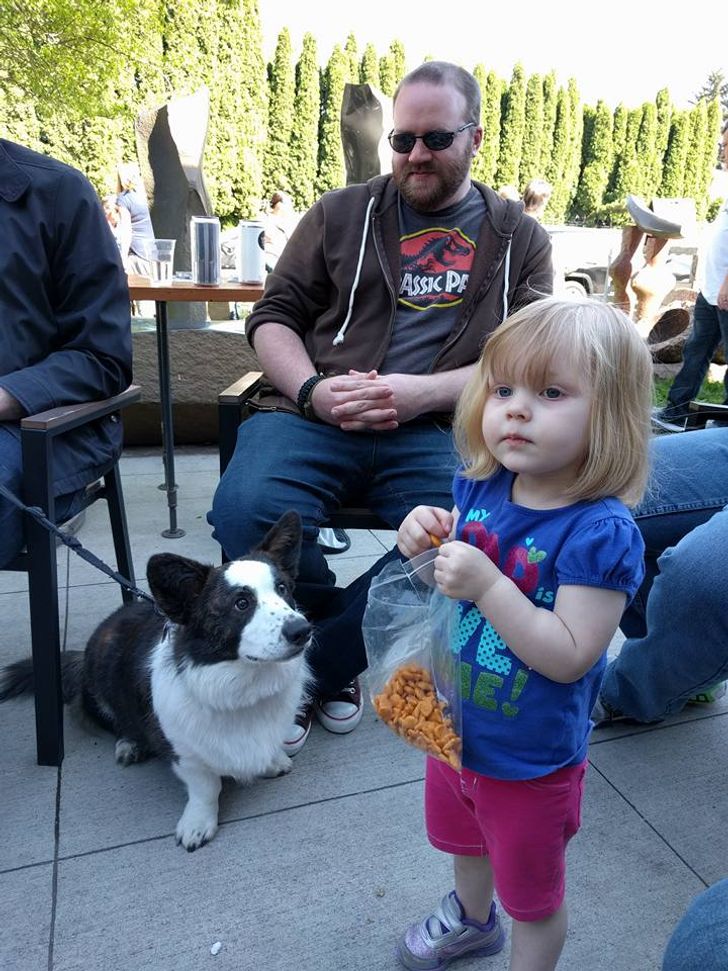 7db936525895a8324ff2cc6974