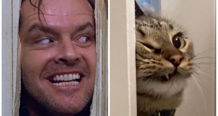 7dc3f55728b30804e3eb39f853