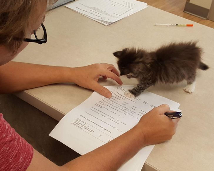 7dcd1f53ab98f083600d74aeeb