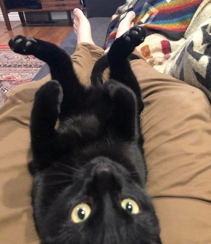 7dd3a750f18525b21bf72bcd44