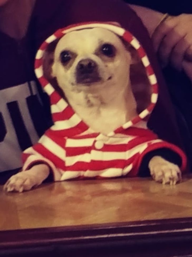 7dea415a67b12dc0ca25dd8b20