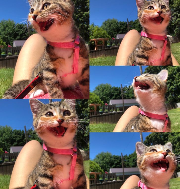 7deaa05dba854857d621749652