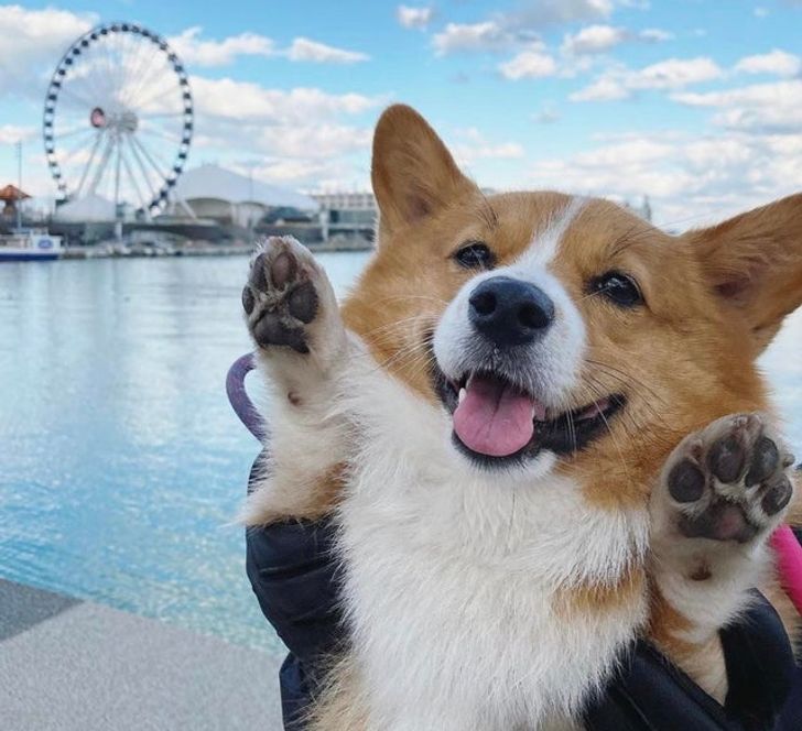 7dec275ec280c481f4e2e8d924