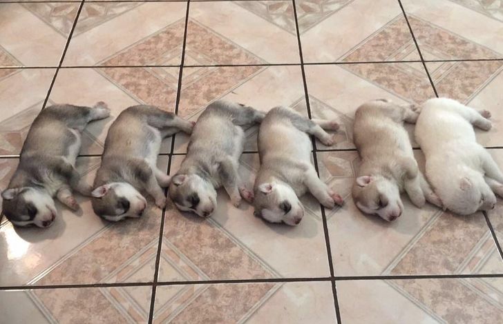 7df8bf5fc587b686e78238ea34