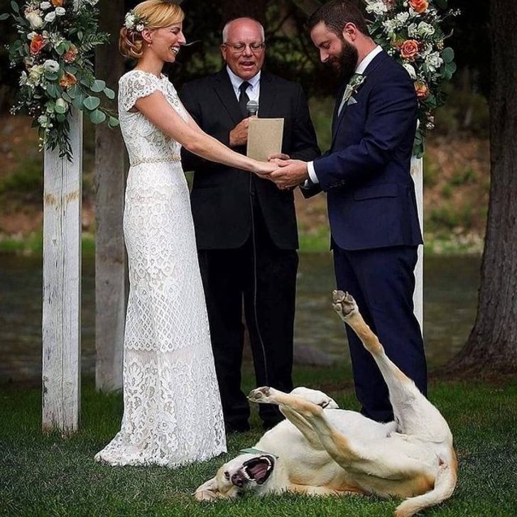 7dfe0153c78864f0f7d38eaa6a