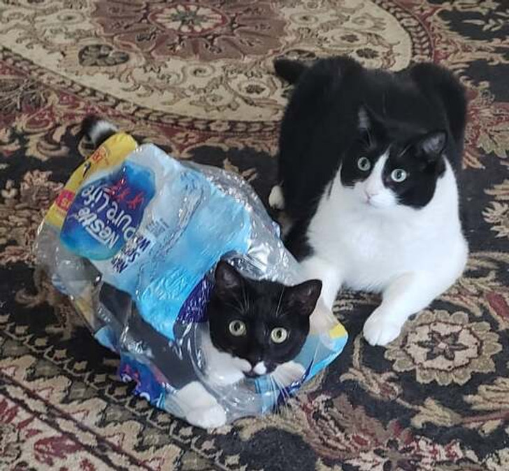 7e047e539dbf844bd77063cda1 7e047e539dbf844bd77063cda1