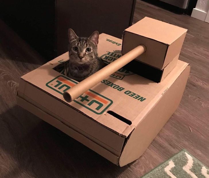 7e051b56dabcf9badaf0ab0b65