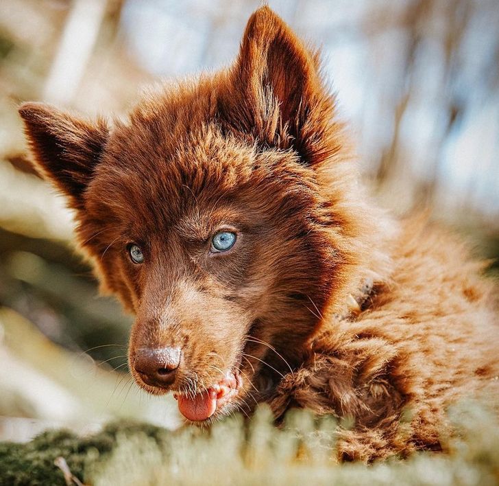 7e063257e8bd6d24a46d29fd0f