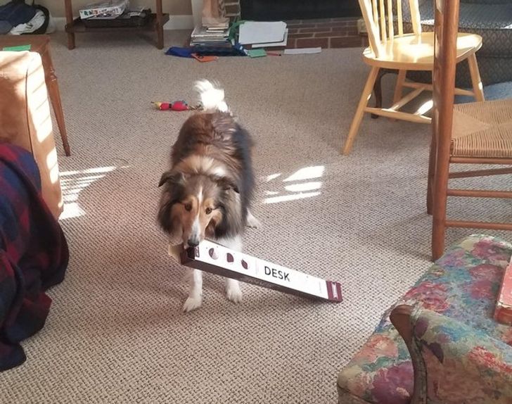 7e077550a196566b18b1ff7cb5