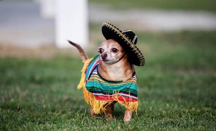 7e174e5ae6a00df63294223dbb