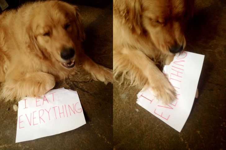 7e1d9358e497817687411c67f3