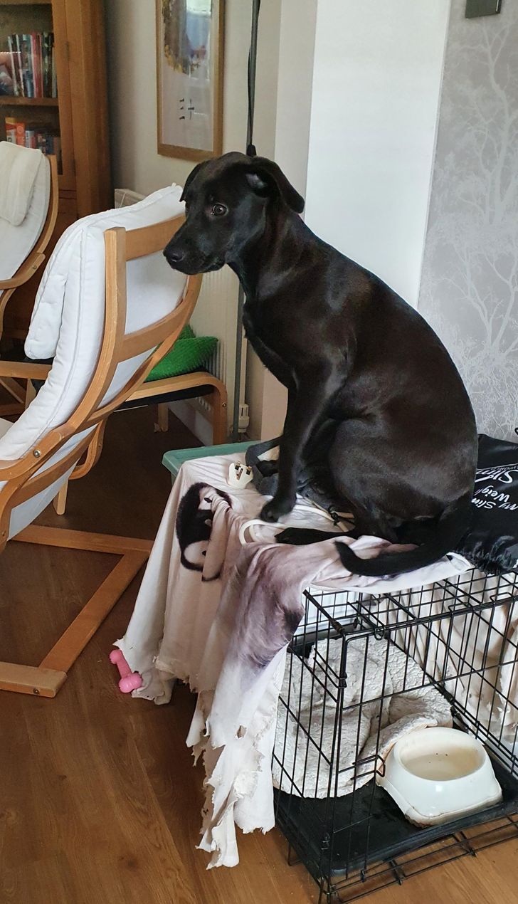 7e20bf5fb8825f94cf4b5f9d8e