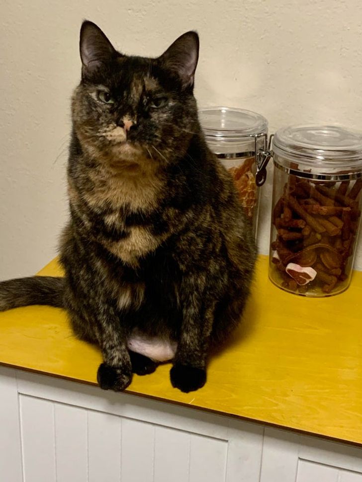 7e22d453c09fc88672d6ac0a02