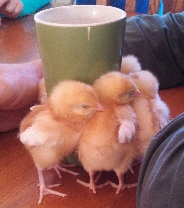 7e235a598fbaa8aa1657e2e589