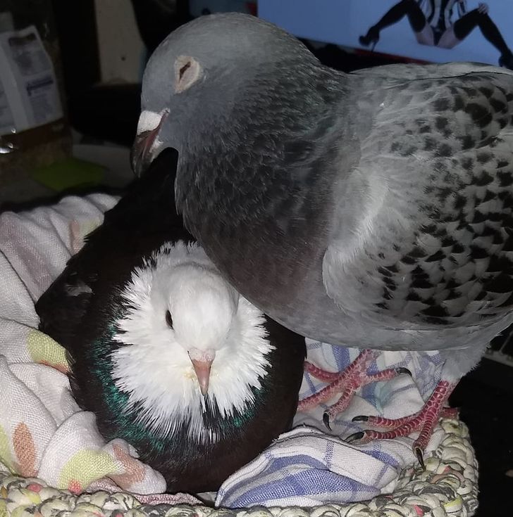 7e2659552db0743171ce5cfc49