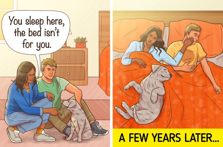 7e2927569a9248cfe6bfd36204 7e2927569a9248cfe6bfd36204