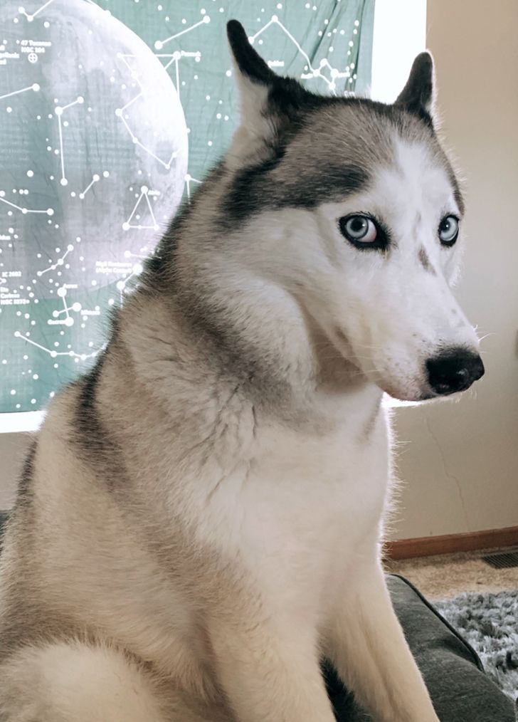 7e2c9d5c159d3582161fc7e840