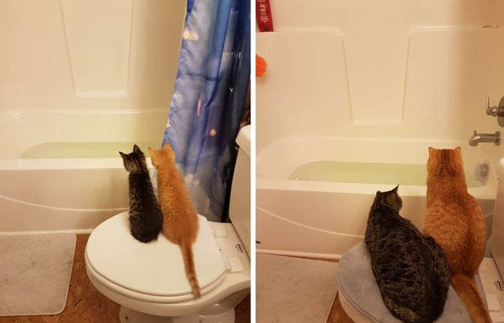 7e30185fa08f1f38c764f0aba9