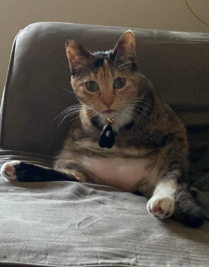 7e3fe7576db6d0772b9c8ff40c