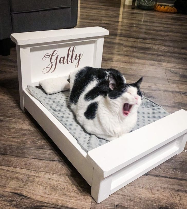 7e41795ffb9da22010827384d5