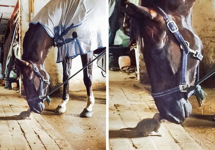 7e43305028a42fecf898019848