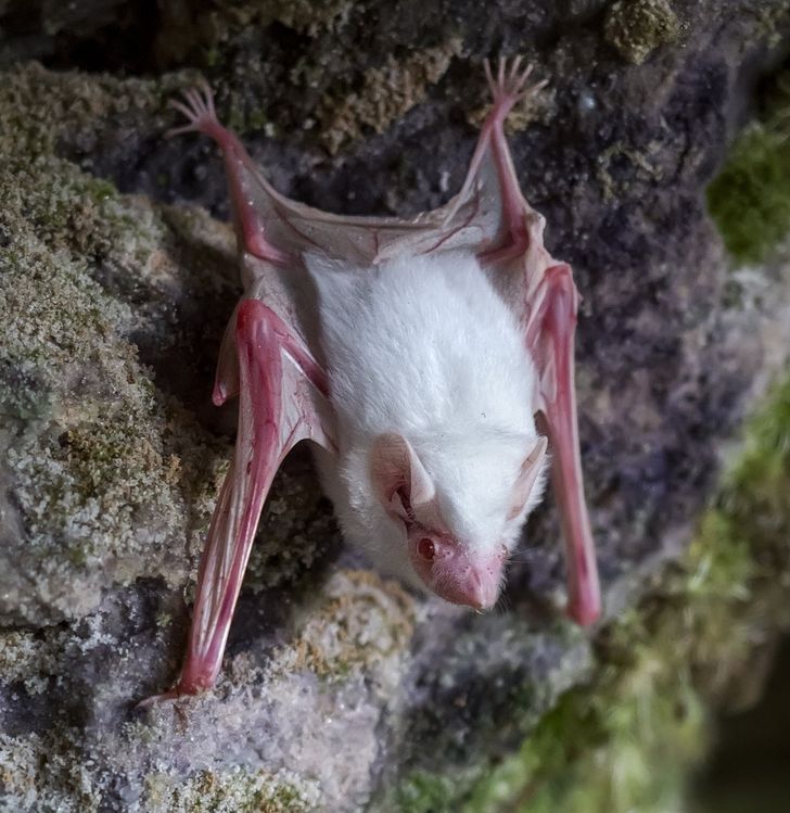 7e47f556038279bf427c649afb