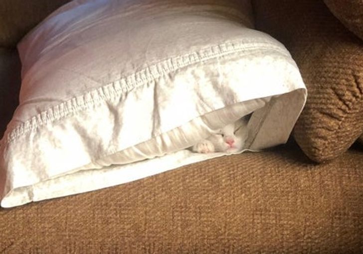 7e519f5d5dbed45523deca4e7e