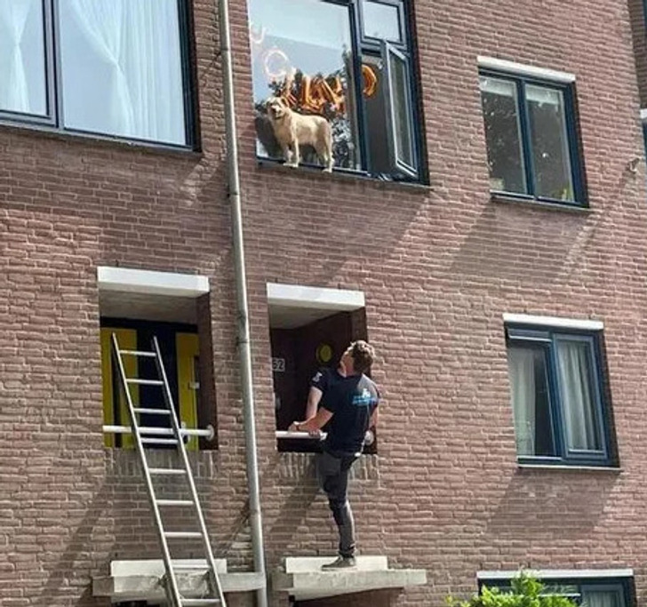 7e524d50b29a1bba58ad9ba089 7e524d50b29a1bba58ad9ba089