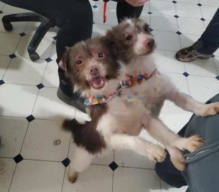 7e5a435b73ba9d04e36d7b0607