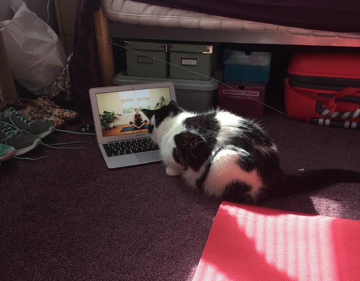 7e60c4501e866919221238f0f4