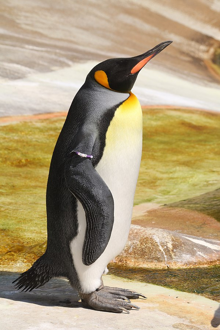 7e699b527785889841e24650fe