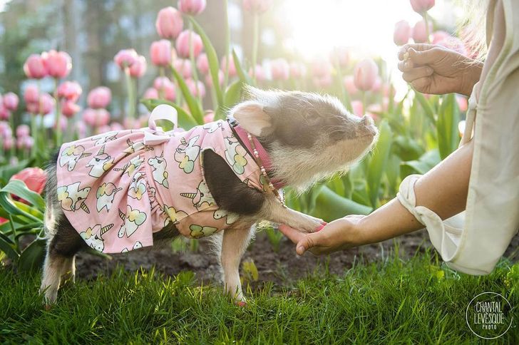 7e70385aedb648a40e5e34d07b