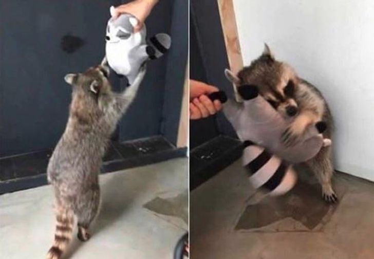 7e7086516cb56b64da81f014b2 7e7086516cb56b64da81f014b2