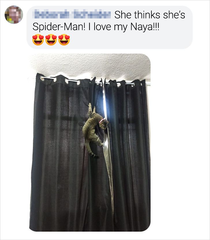 7e71255e3cafea6f06f461d856